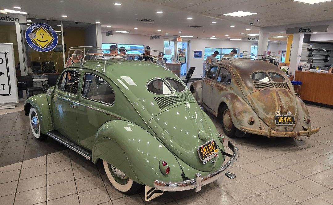 Classic Volkswagen Beetles displayed at an event